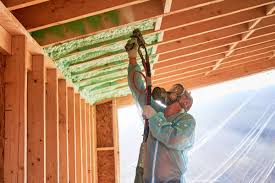 Best Eco-Friendly or Green Insulation Solutions  in Golden Glades, FL