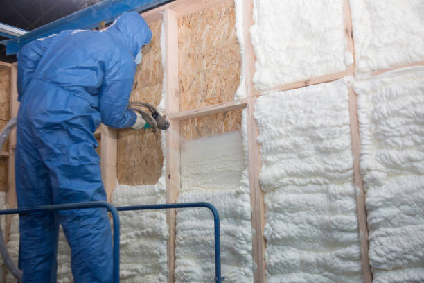 Best Insulation for New Construction  in Golden Glades, FL